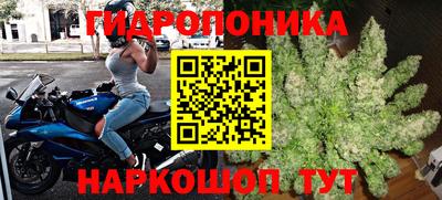 молекула духа Тулун