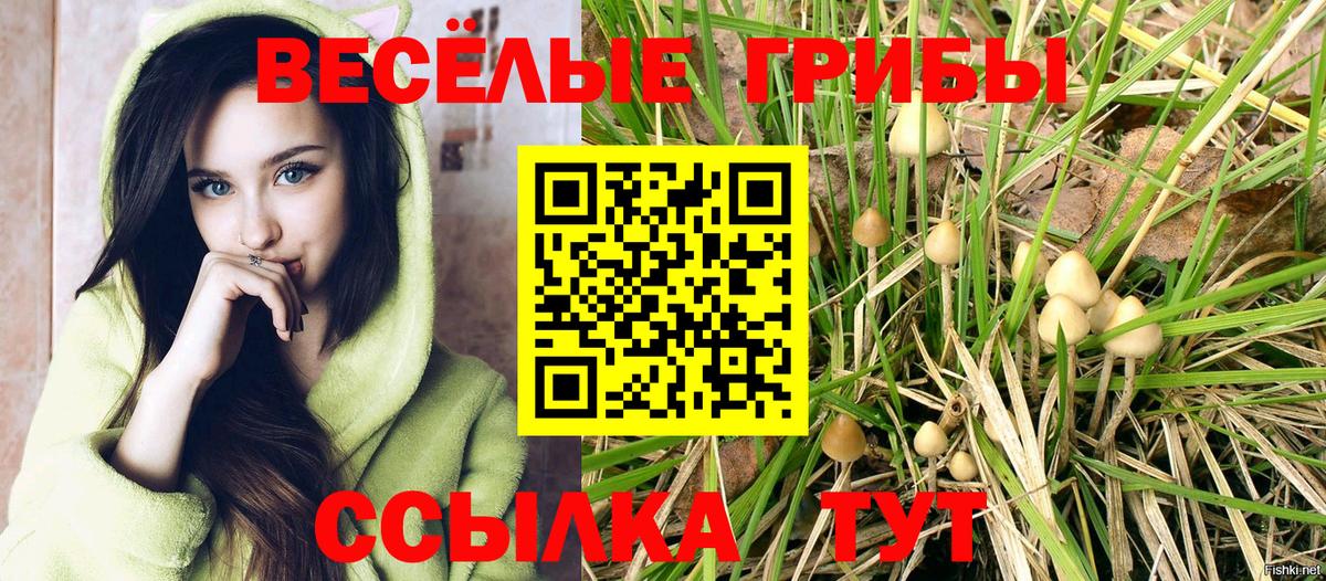 Псилоцибиновые грибы Magic Shrooms Нижний Тагил